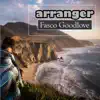 Arranger - Single album lyrics, reviews, download
