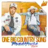 One Big Country Song (RoadHouse Remix) - Single album lyrics, reviews, download