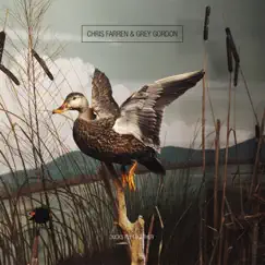 Ducks Fly Together - EP by Chris Farren & Grey Gordon album reviews, ratings, credits