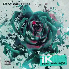 IK IK (feat. Big Havi) - Single by IAM Metric album reviews, ratings, credits