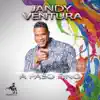 Yo a Ti Te Amo (feat. Franklin The Boss, Rafely Rosario, Silvio Mora & Darlin Made) song lyrics