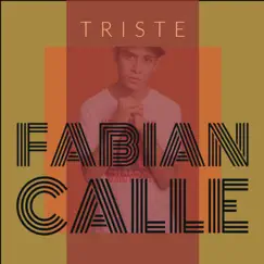 Triste - Single by Fabian Calle album reviews, ratings, credits