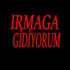 Irmağa Gidiyorum (Remix) Song Lyrics