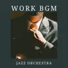WORK BGM JAZZ ORCHESTRA album lyrics, reviews, download