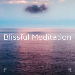 Blissful Meditation by Ocean Sounds, Ocean Waves For Sleep & BodyHI album reviews, ratings, credits