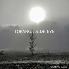 Pushing Back - Single by Topanga Side Eye album reviews, ratings, credits