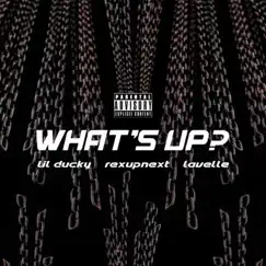 What's Up? (feat. RexUpNext & Lavelle) - Single by Lil Ducky album reviews, ratings, credits