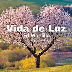 Vida De Luz (Instrumental) by Ed Montilla album reviews, ratings, credits
