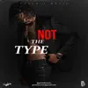 Not the Type - Single album lyrics, reviews, download