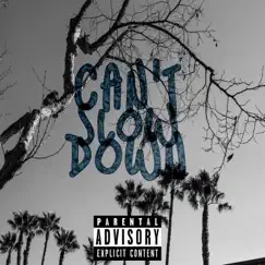 Can't Slow Down - Single by Sun Julio album reviews, ratings, credits