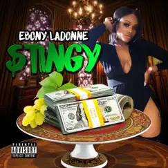Stingy - Single by Ebony LaDonne album reviews, ratings, credits