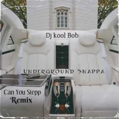 Can You Stepp (Remix) - Single by Dj Kool Bob UnderGround Snappa album reviews, ratings, credits