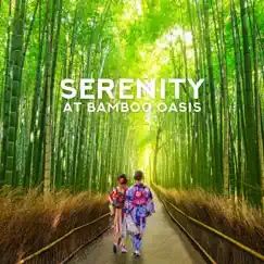 Serenity at Bamboo Oasis - Meditation with Ancient Chinese Music Instruments by Ancient Asian Oasis album reviews, ratings, credits