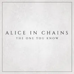 The One You Know - Single by Alice In Chains album reviews, ratings, credits