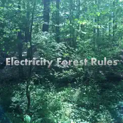 Electricity Forest Rules by Below Freezing album reviews, ratings, credits