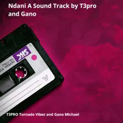Naguna Tu (feat. Queen Zipporah) [Radio Edit] Song Lyrics