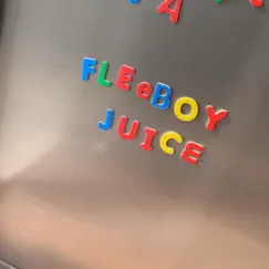 Slatt - Single by Fleeboy Juice album reviews, ratings, credits