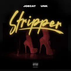 Stripper (feat. Unk) - Single by JoeCat album reviews, ratings, credits
