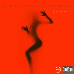 Pecho Contra Espalda Song Lyrics