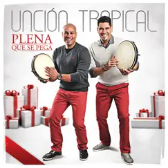 Se Levanta P.R. (Merengue) Song Lyrics