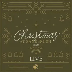 Away in a Manger (Live) Song Lyrics