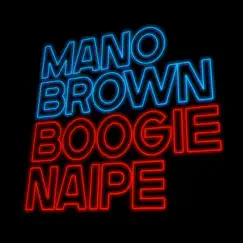 Sinta-Se Bem Com o Boogie Naipe (feat. Wilson Simoninha) Song Lyrics