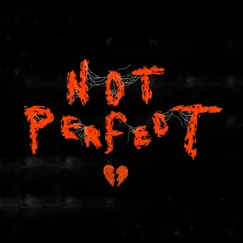 Not Perfect - Single by Foreign Forest album reviews, ratings, credits