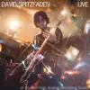 David Spitzfaden Live in Studio album lyrics, reviews, download