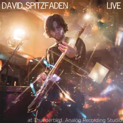 David Spitzfaden Live in Studio by David Spitzfaden album reviews, ratings, credits