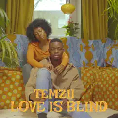 Love Is Blind - Single by Temzii album reviews, ratings, credits