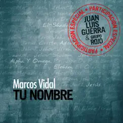 Tu Nombre (feat. Juan Luis Guerra) Song Lyrics