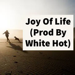 Joy of Life Song Lyrics