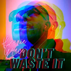 Don't Waste IT - Single by Rennie Grace album reviews, ratings, credits