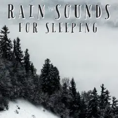 Rain Sounds For Sleeping - EP by Natural Sample Makers, Natural Sound Makers & Nature Recordings album reviews, ratings, credits