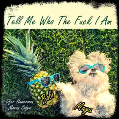 Tell Me Who the F**k I Am (feat. Moran Sofer) - Single by Ofer Hamerman album reviews, ratings, credits