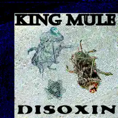 Disoxin by Mule King album reviews, ratings, credits