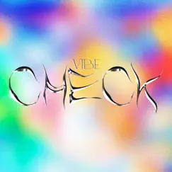 Vibe Checckk!!1! Song Lyrics