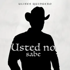 Usted No Sabe - Single by Ulises Quintero album reviews, ratings, credits