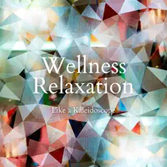 Like a Kaleidoscope - Wellness Relaxation by Seeking Blue album reviews, ratings, credits