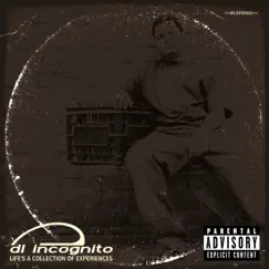 Life's a Collection of Experiences by DL Incognito album reviews, ratings, credits