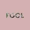 Fool - Single album lyrics, reviews, download