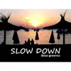 Slow Down: Ibiza Grooves album lyrics, reviews, download