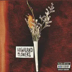 Highland Flowers - Single by Joey Cook album reviews, ratings, credits