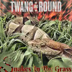 Snakes In the Grass - Single by Twang and Round album reviews, ratings, credits
