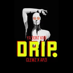 Ya Don't Kno DRIP (feat. Apzi) Song Lyrics