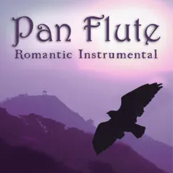 Romantic Instrumental Hits by Pan Flute album reviews, ratings, credits
