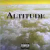 Altitude (feat. Rok & Shaan Domo) - Single album lyrics, reviews, download