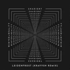 Leidenfrost (Kraysh Remix) Song Lyrics