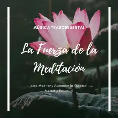 La Fuerza de la Meditación - Música Trascendental para Meditar y Aumentar la Quietud Mental y Espiritual by Libertad Maestro album reviews, ratings, credits