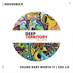 Sound Baby Worth It / You Lie - Single by Housenick album reviews, ratings, credits